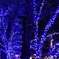 東京