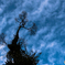 - sky -