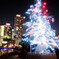 クリスマスツリー