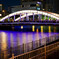 Light bridge