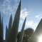 メキシコの空
