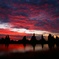pict-33740015