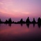 pict-51960132