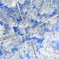 蒼天白樺樹氷～2015
