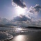 秋海
