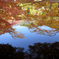 古寺の紅葉