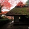 2015紅葉（金福寺2）
