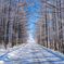Winter road
