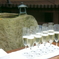 champaign
