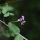 photo_5170417