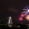 東京湾に咲く華