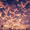 夕方