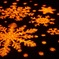 地面に映し出された雪の結晶