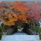 興聖寺