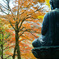 仏目線で紅葉