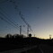 鳥と夕暮れ