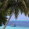 Vilamendhoo2