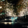illuminationの中を…