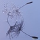drop