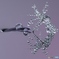 drop
