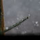 窓からの雪景色