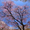 DPP_jpg0421