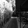 自転車 と 白黒の世界