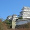 お化粧しました