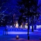 雪の聖夜