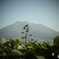 桜島より目立とうとする奴