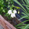 IMGP0464