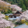 春の庵
