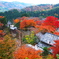 善峯寺境内の紅葉