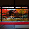 建仁寺潮音庭の紅葉