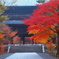 南禅寺南大門の紅葉