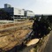 芦屋川