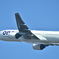 新千歳空港撮りやすいですよー