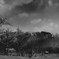 風景モノクロ②