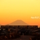 夕景モノレール