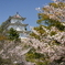 明石城