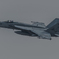厚木基地訓練始まりました！