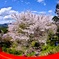 NARA-Yoshino