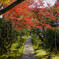 龍安寺