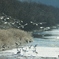 音羽橋