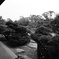 松濤園