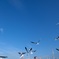 空へ