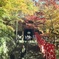奈良・長谷寺⑬
