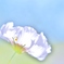 ふんわり　パステルカラー