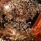 夜桜