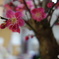 DSC00071